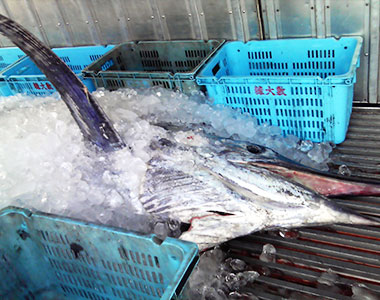 日本海の恵み