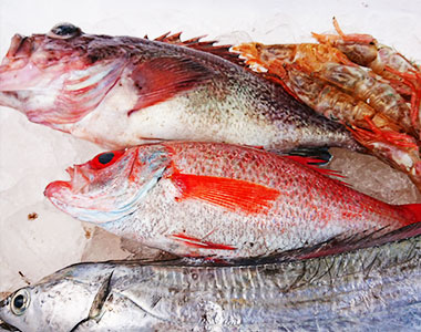 日本海の恵み